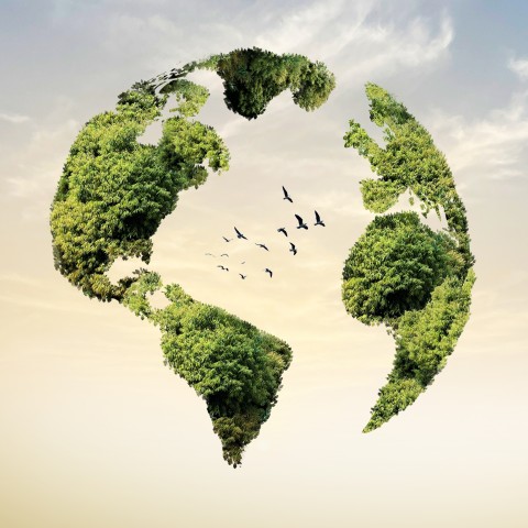 Jour de la Terre – Un appel à la paix, à l’écologie et à la fraternité 